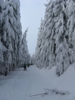 Fotogalerie 9.A na běžkách 2019, foto č. 25