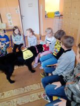 Fotogalerie České centrum signálních zvířat, foto č. 5